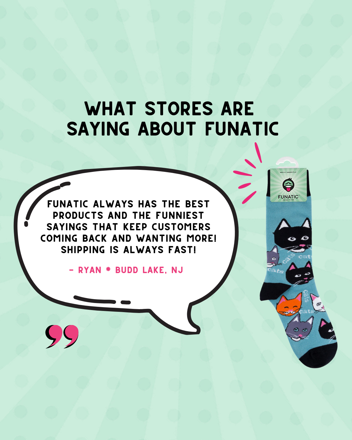 Cats Cats Cats Socks | For Cat Lovers | Funatic